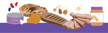 Anchor Protein First